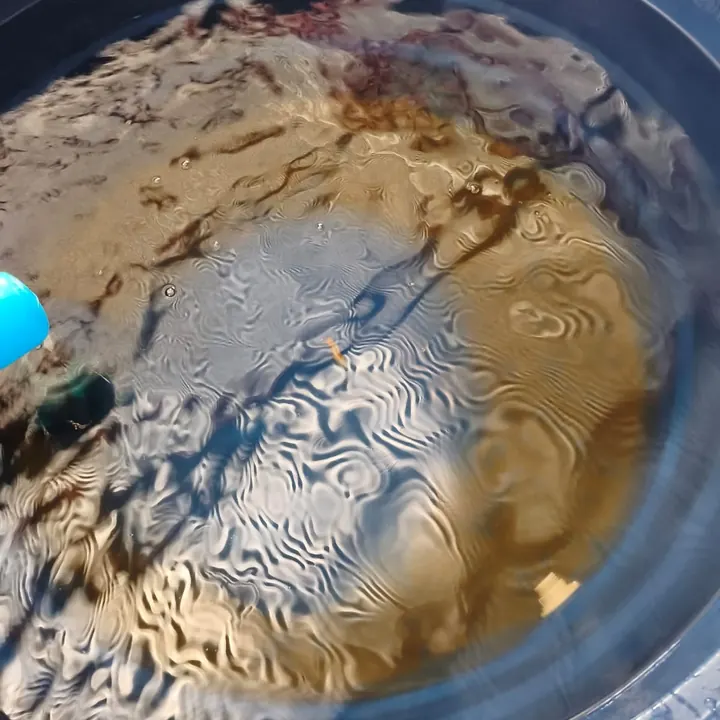 Caixa d'água antes da limpeza, com água turva e sujeira